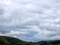 20240713 142924  RAF Red Arrows